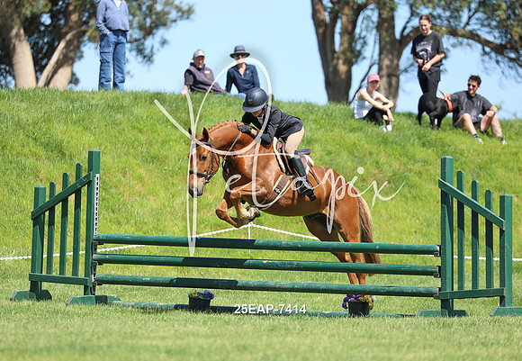 25EAP-7414