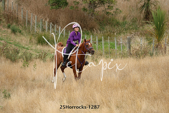 25Horrocks-1287