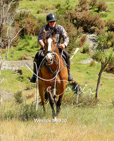 Westoe1-9930