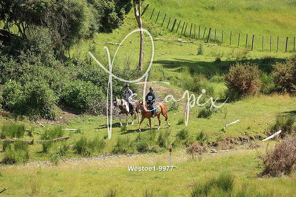 Westoe1-9977