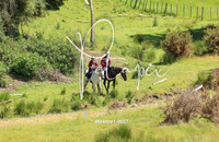 Westoe1-0007