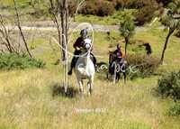 Westoe1-0032