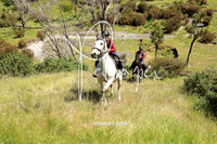 Westoe1-0033