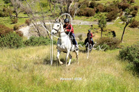 Westoe1-0036