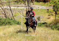 Westoe1-0038