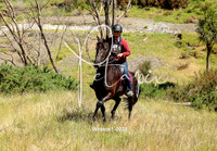 Westoe1-0039