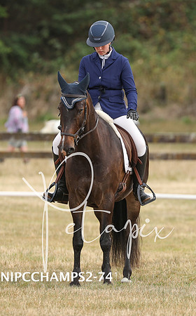 NIPCCHAMPS2-7415