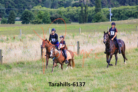 Tarahills-6137