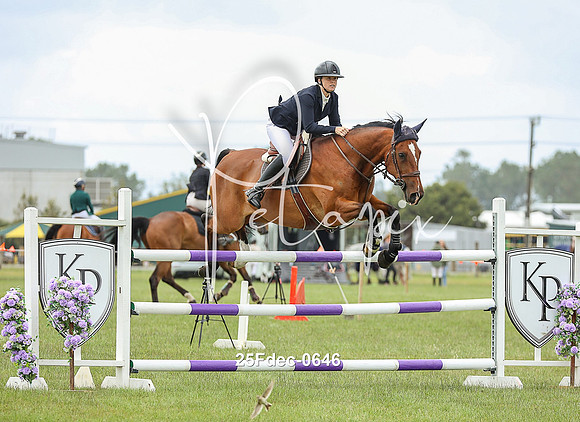 25Fdec-0646