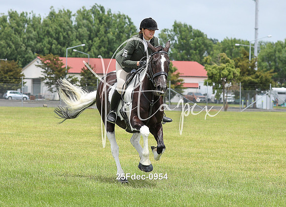 25Fdec-0954