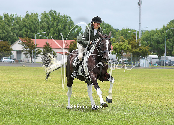 25Fdec-0955
