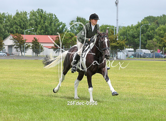 25Fdec-0956