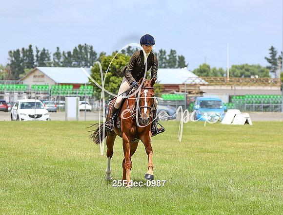 25Fdec-0987
