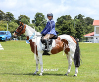 Working Hunter Pony/Horse