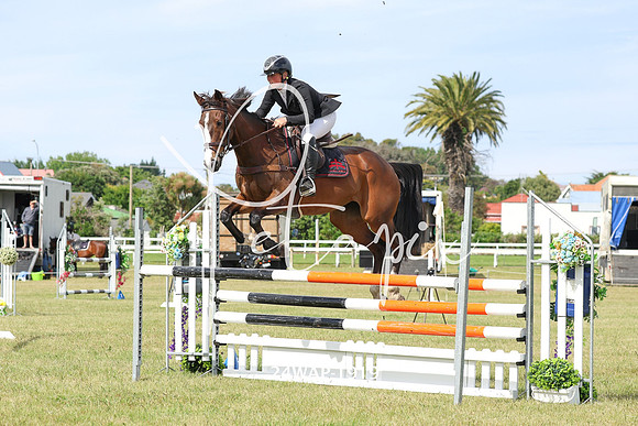 24WAP-1919