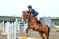 Ring 2 Show Jumping