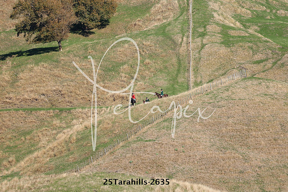 25Tarahills-2635