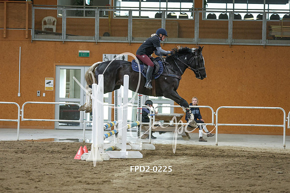 FPD2-0225
