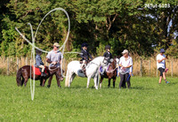Flat Classes