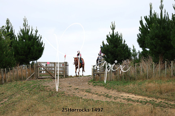 25Horrocks-1497