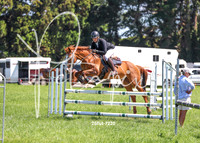 26Tut-7220