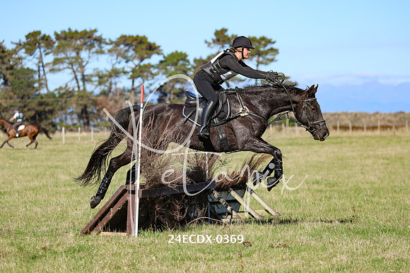 24ECDX-0369