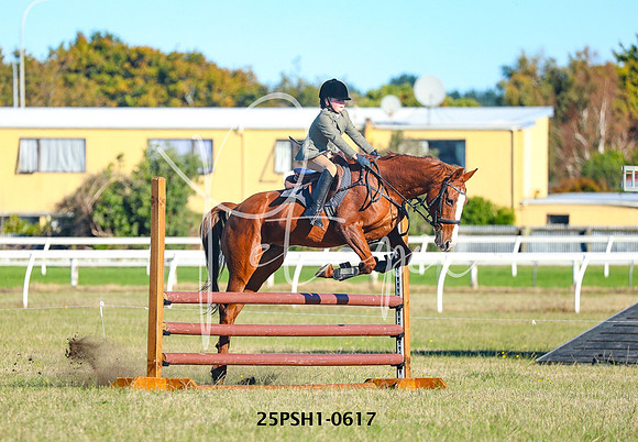 25PSH1-0617