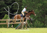 RTR Hacks & few ponies