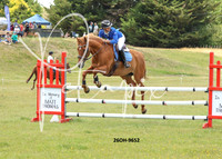 Hacks Show Jumping