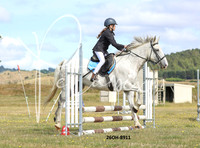 Pony Show Jumping