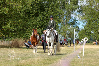 26OH-8881
