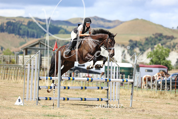 24OH-0537