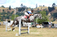 R1 Show Jumping