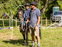 26Papanui-8845