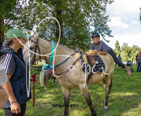 26Papanui-8881