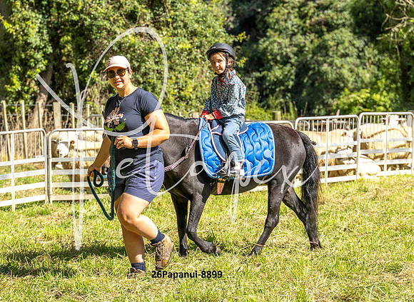 26Papanui-8899