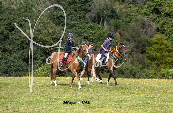 26Papanui-8956