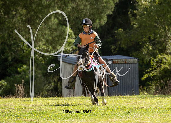 26Papanui-8967
