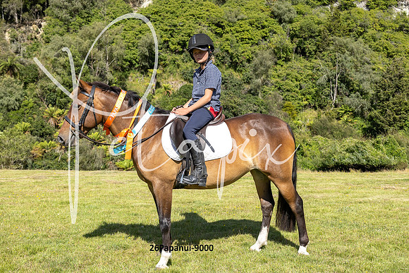 26Papanui-9000