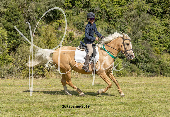 26Papanui-9019
