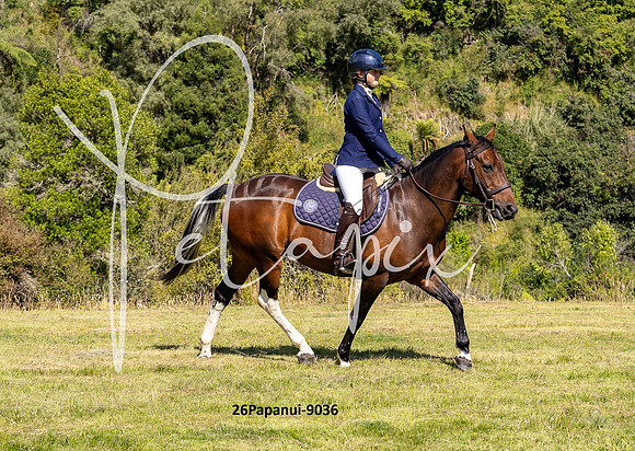 26Papanui-9036