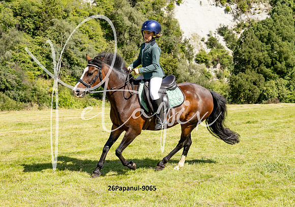 26Papanui-9065