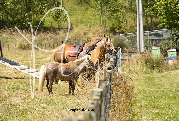 26Papanui-9464