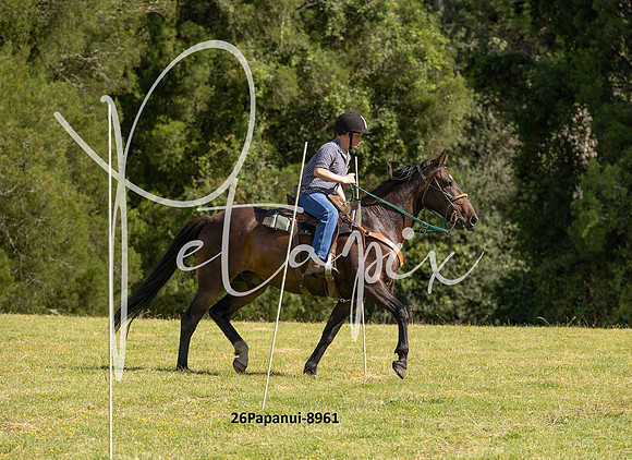 26Papanui-8961
