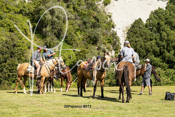 26Papanui-8972