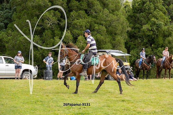 26Papanui-9131