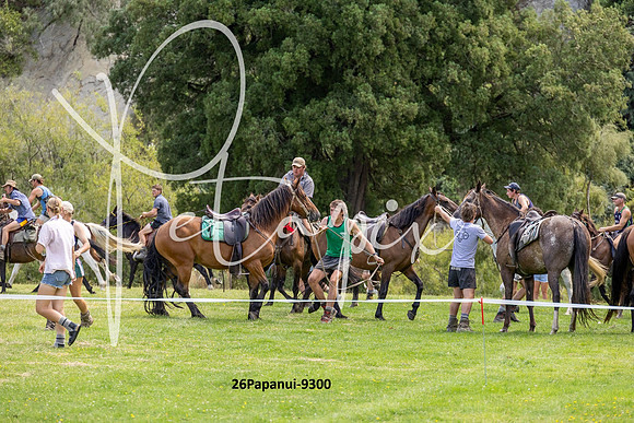 26Papanui-9300