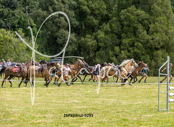 26Papanui-9295