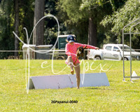 26Papanui-0040