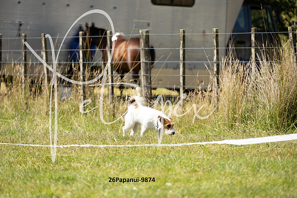 26Papanui-9874